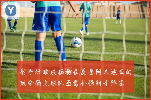 射手短缺成杨瀚森夏普阿夫迪亚的致命弱点球队亟需补强射手阵容