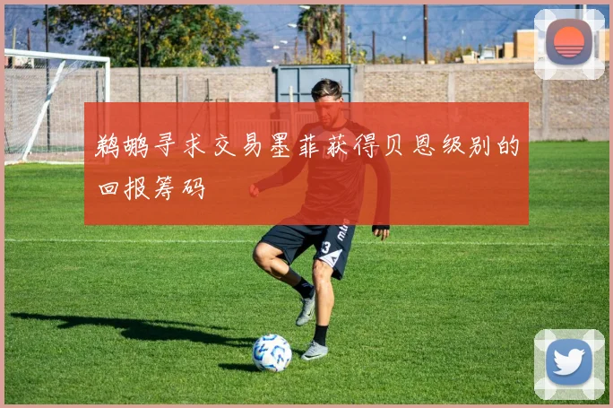 鹈鹕寻求交易墨菲获得贝恩级别的回报筹码