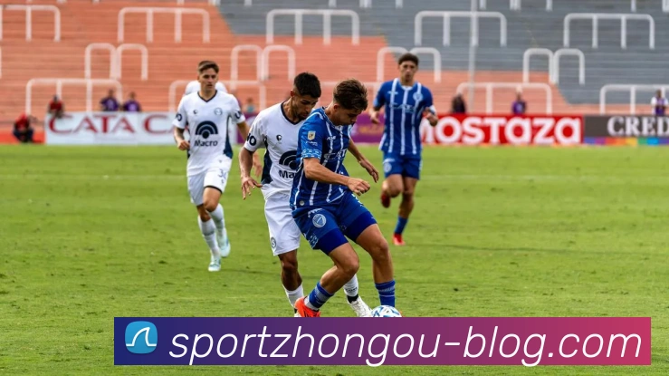 中欧体育品牌故事